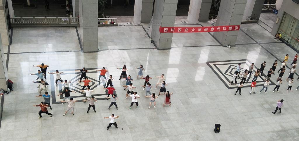 美狮贵宾会