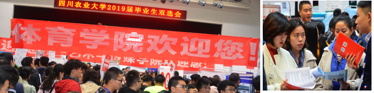 美狮贵宾会
