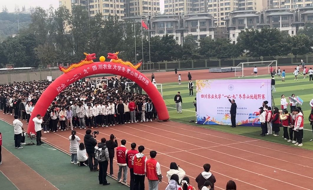 美狮贵宾会