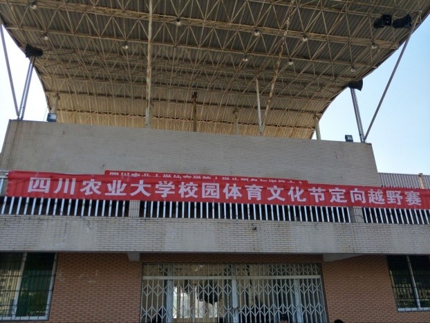 美狮贵宾会