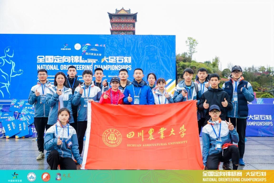 美狮贵宾会