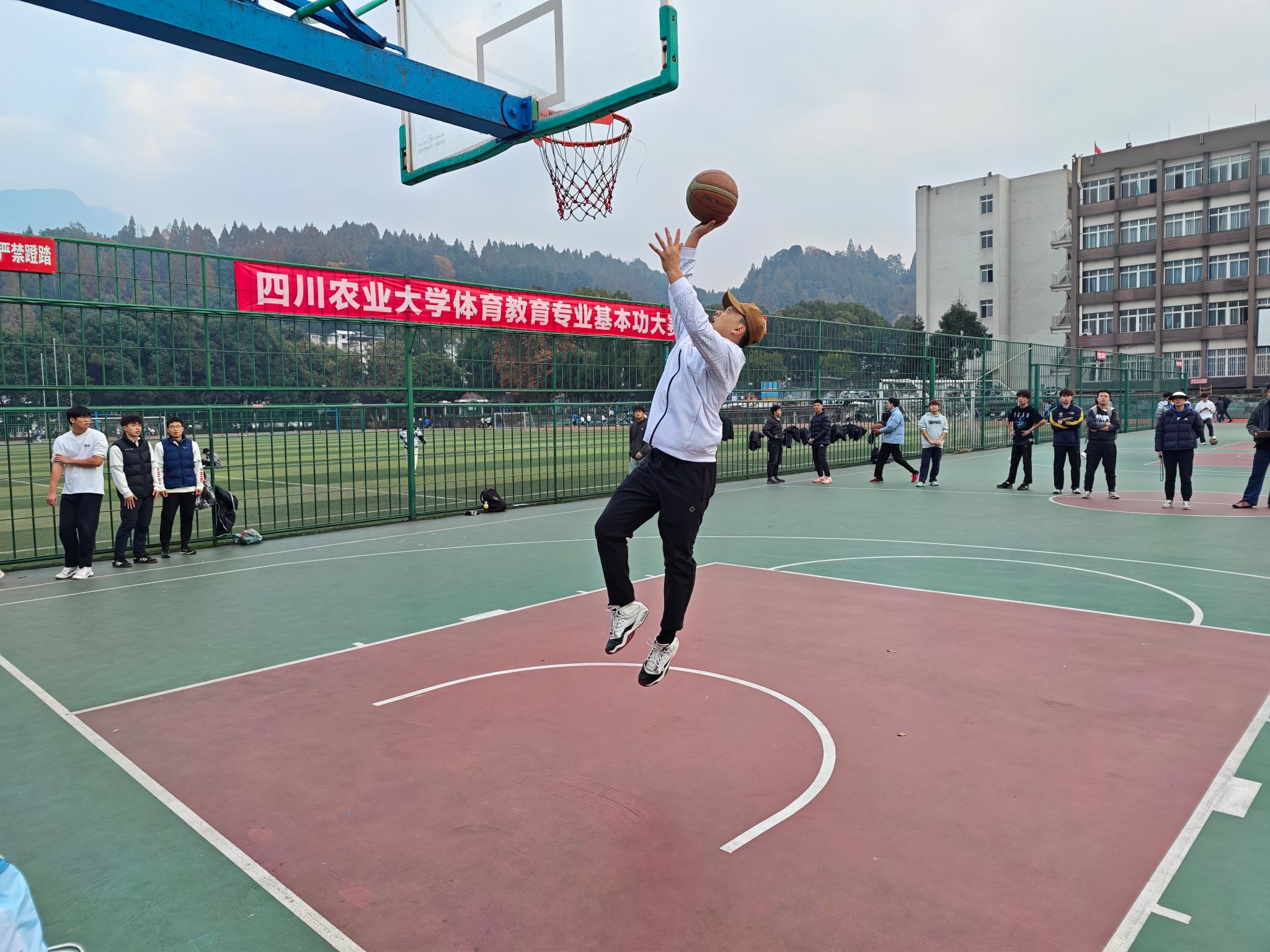 美狮贵宾会