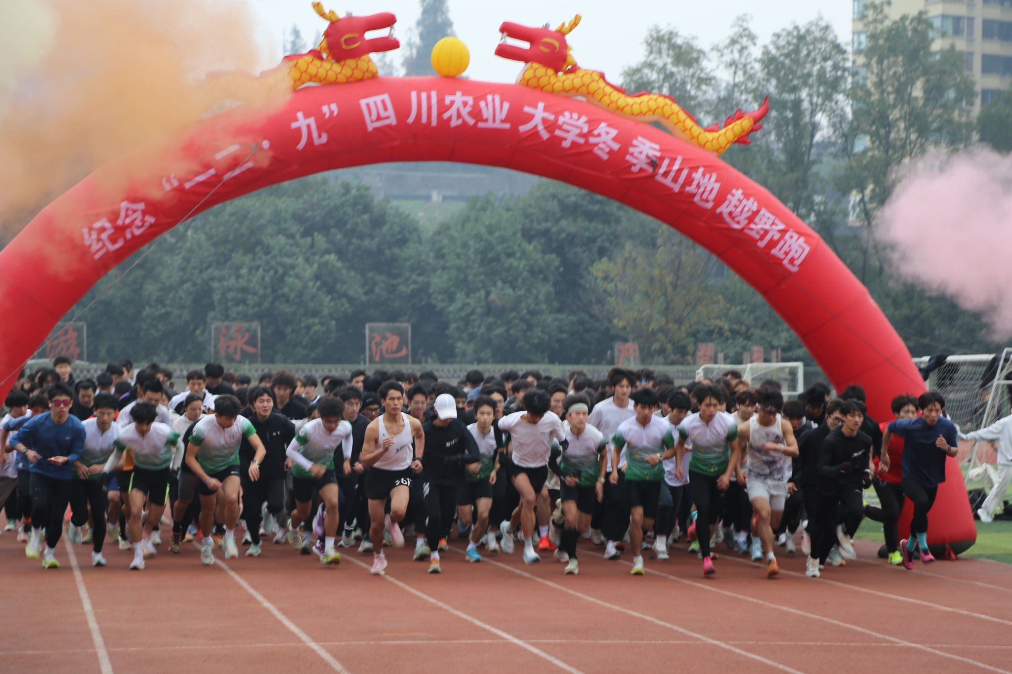 美狮贵宾会