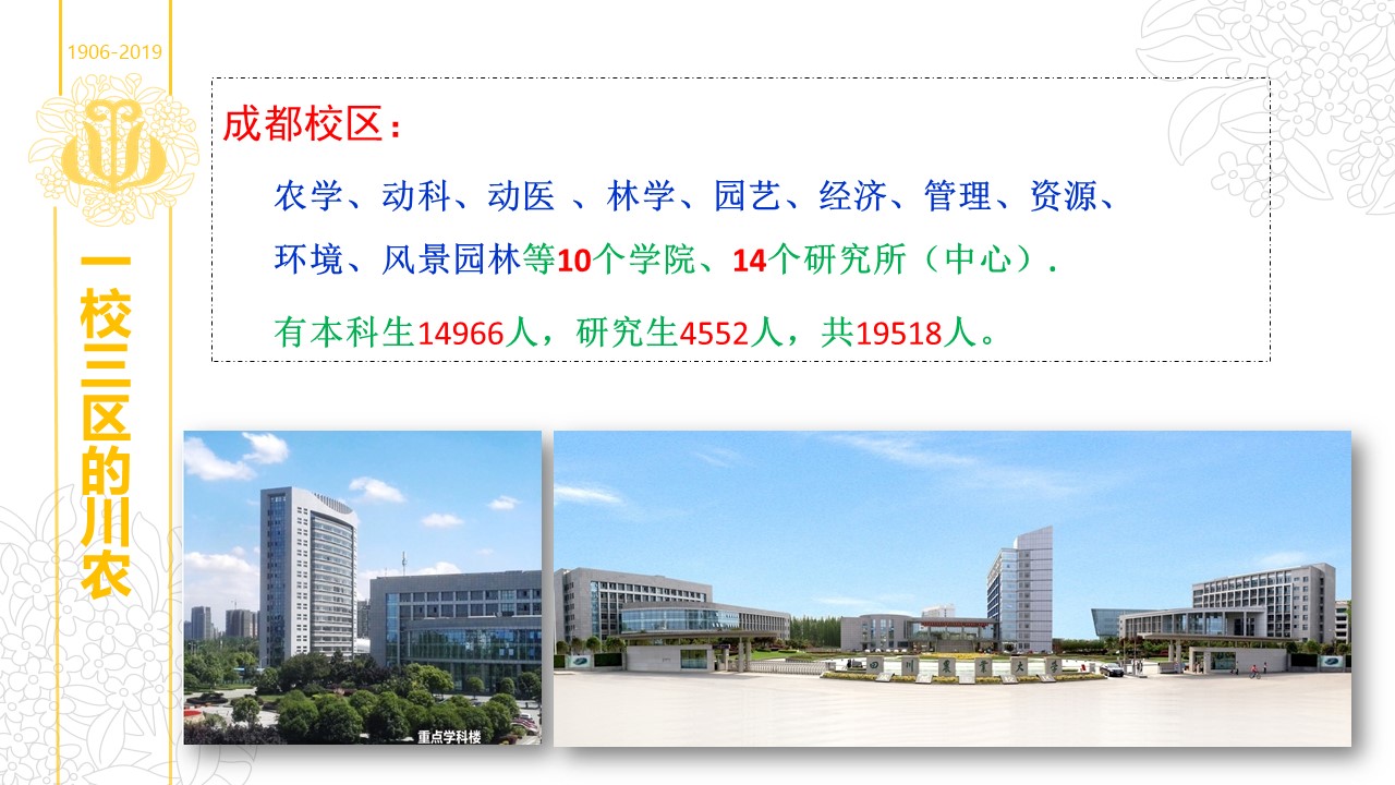 美狮贵宾会