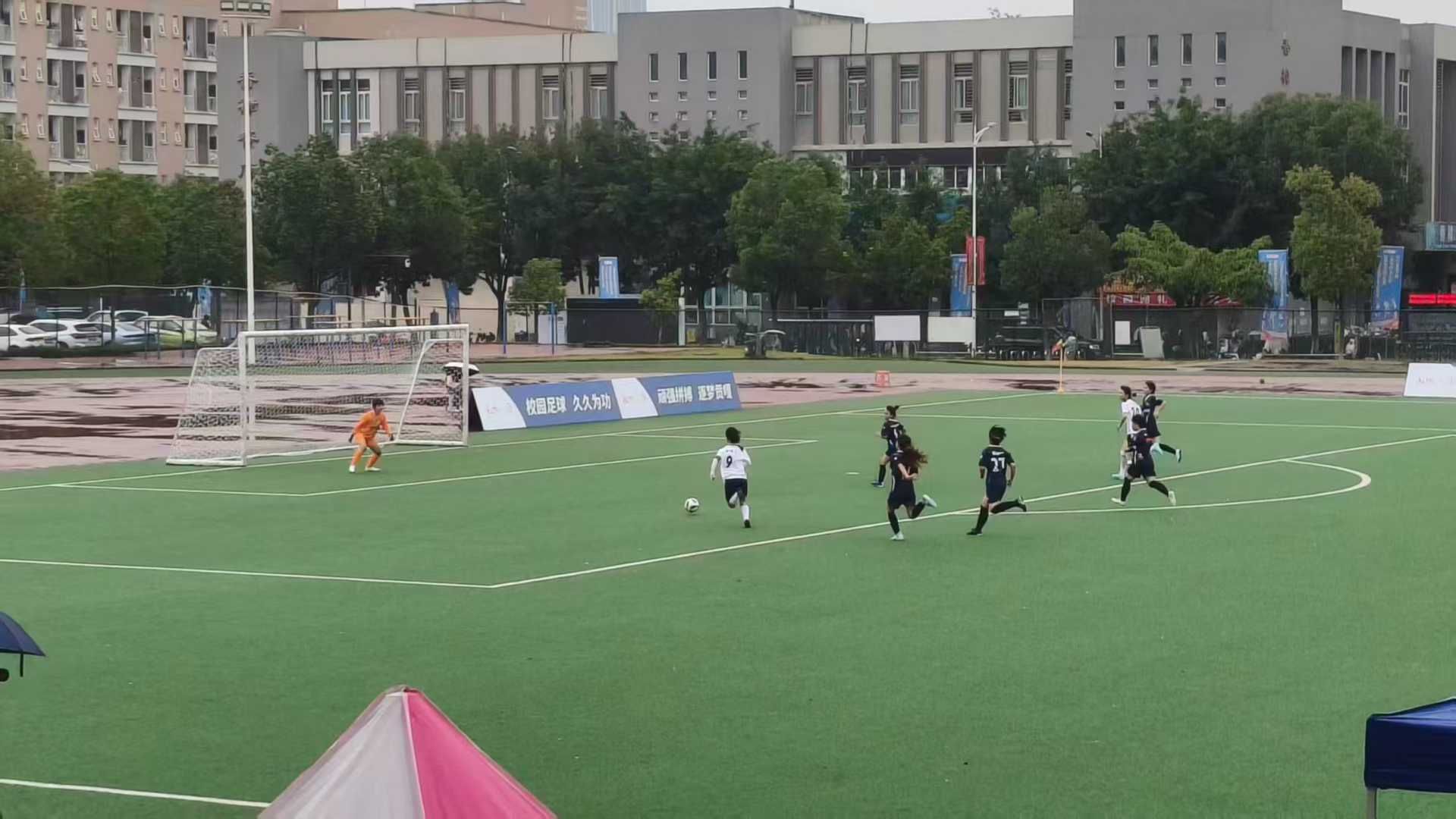 美狮贵宾会