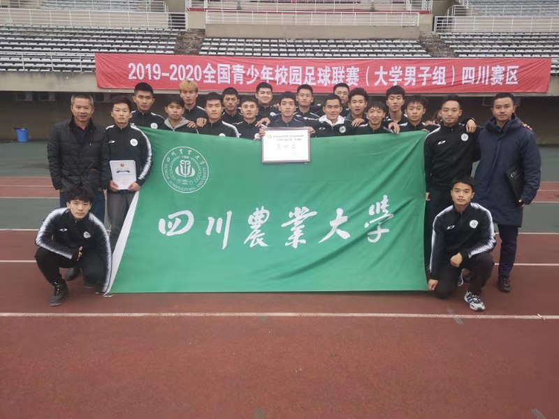 美狮贵宾会