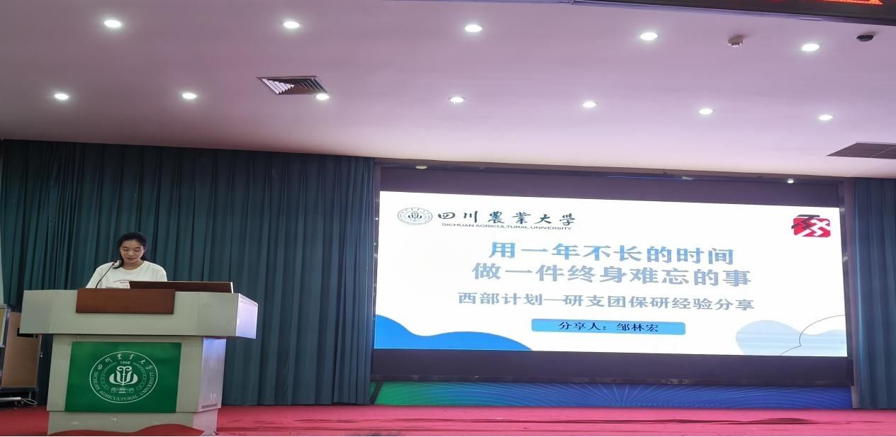 美狮贵宾会