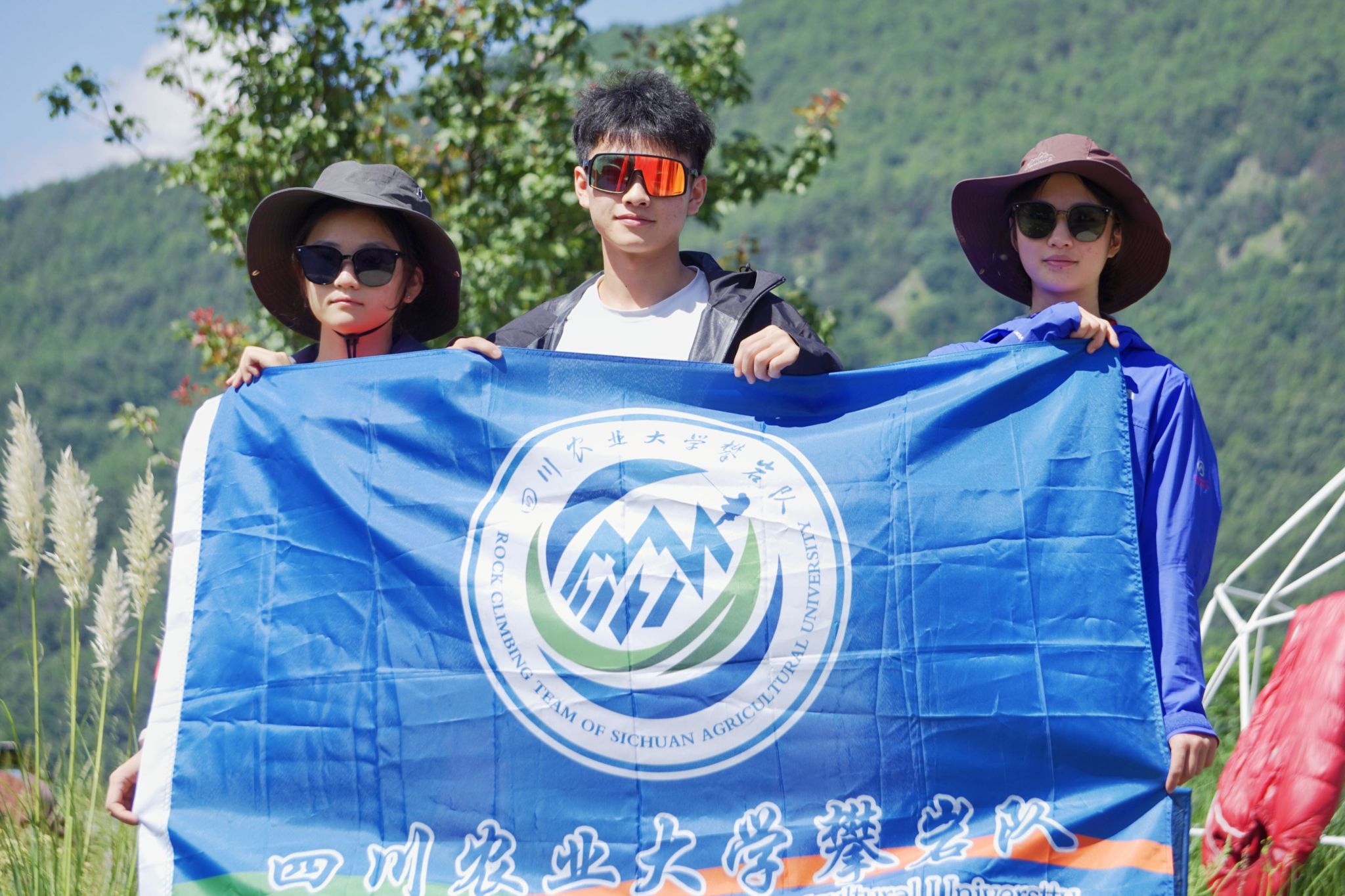 美狮贵宾会