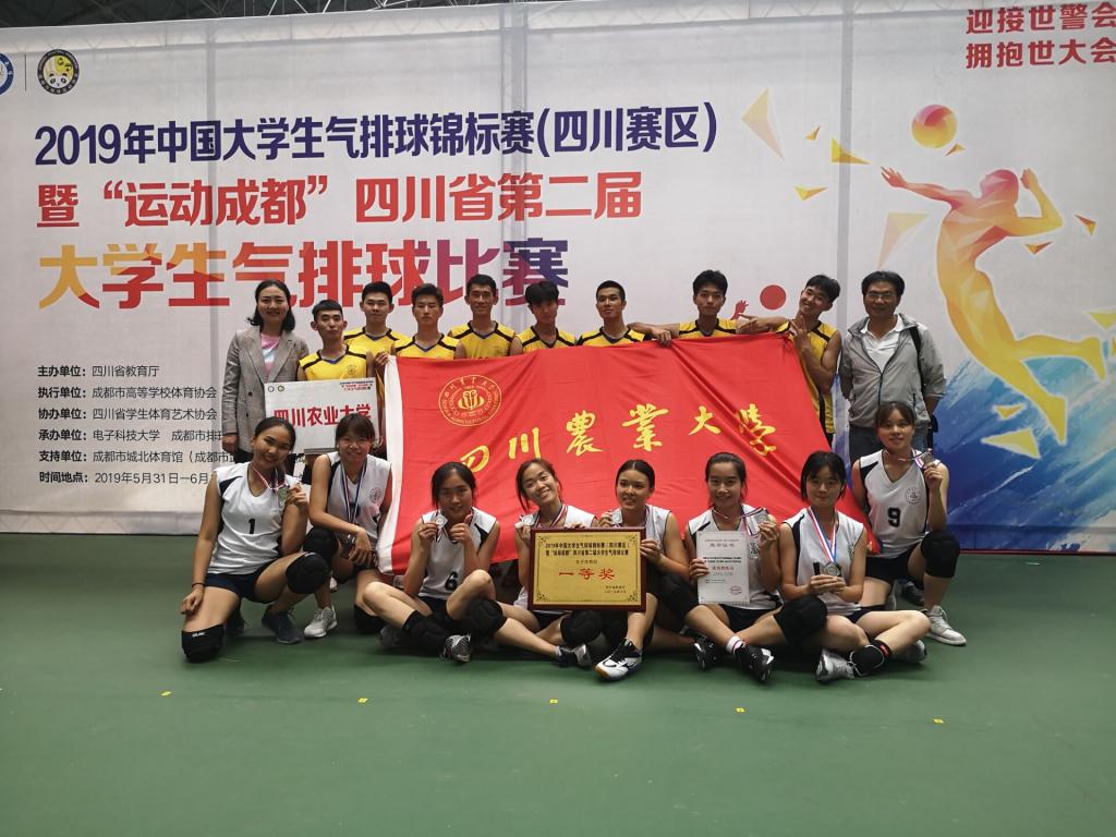美狮贵宾会