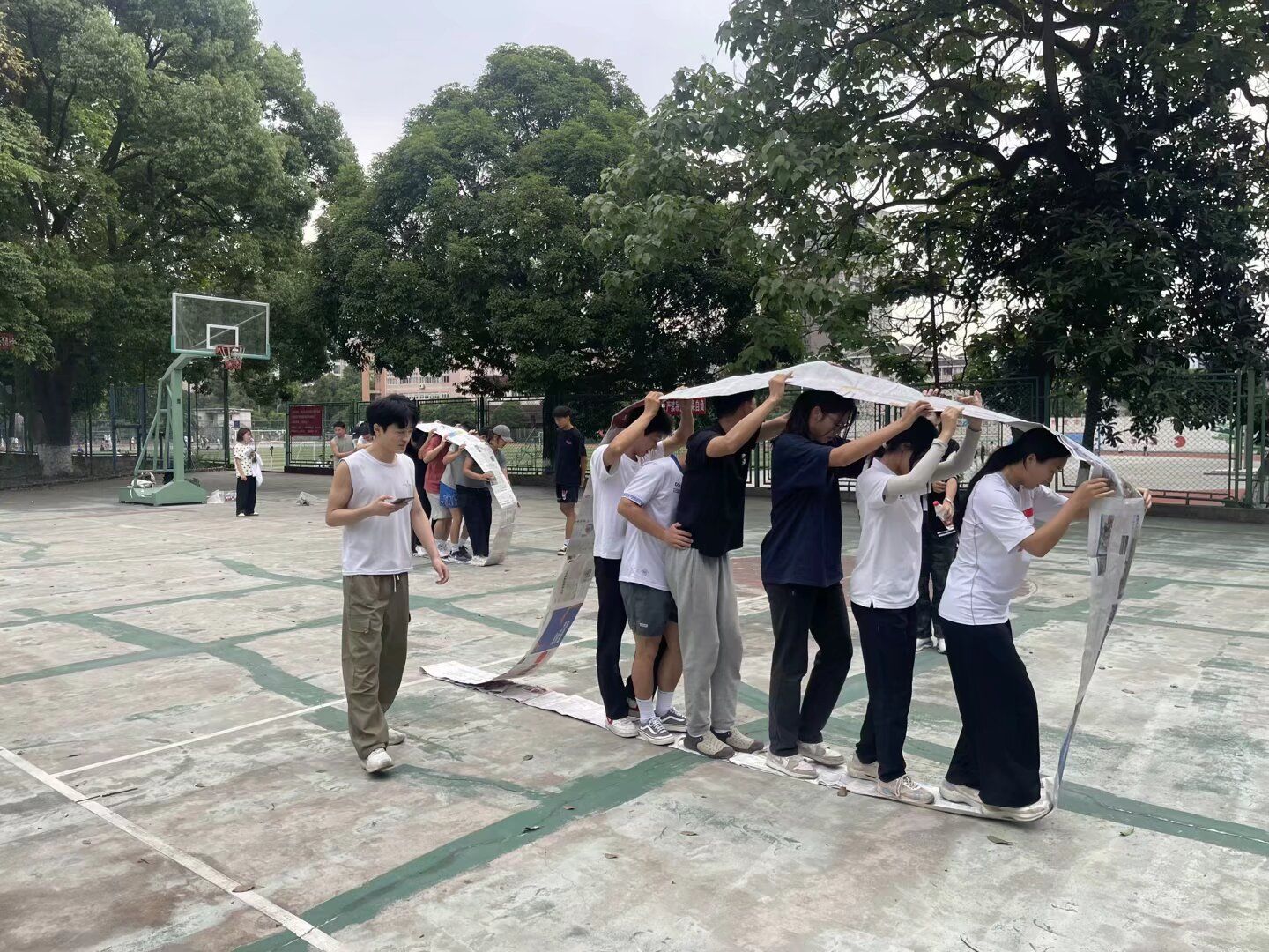 美狮贵宾会