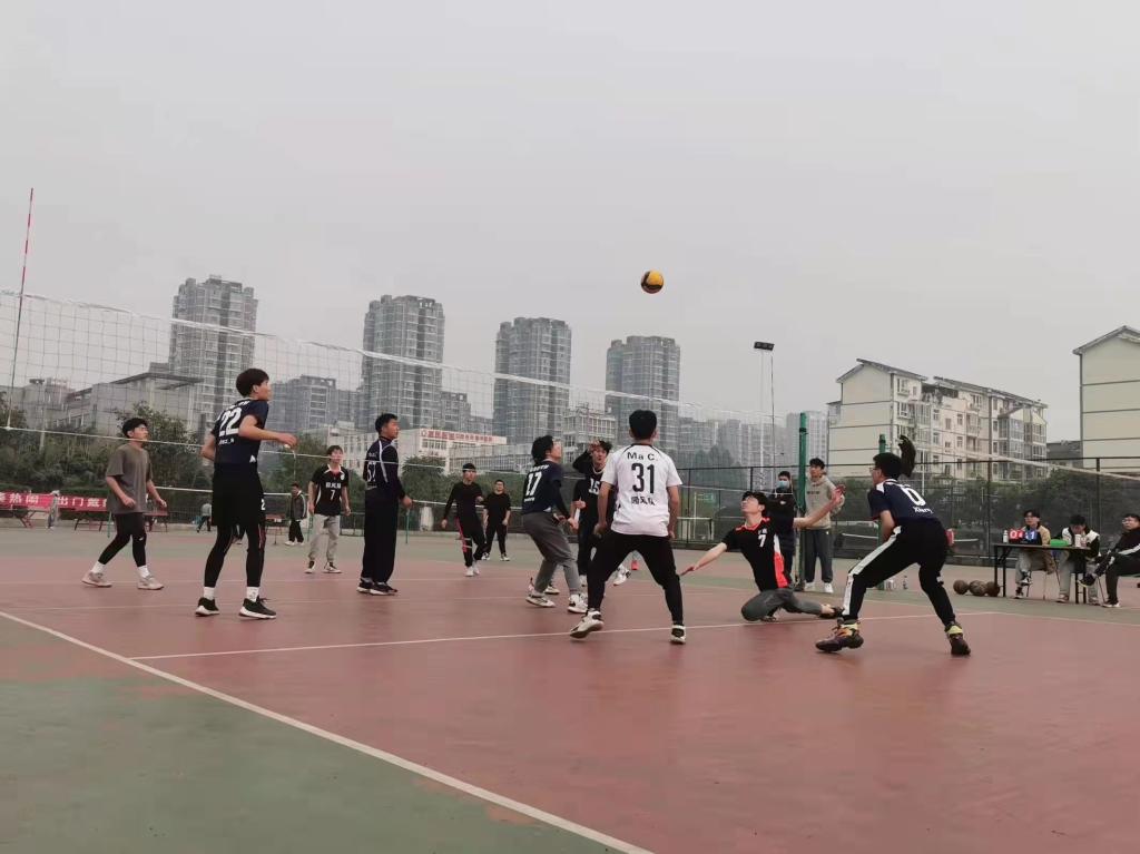 美狮贵宾会