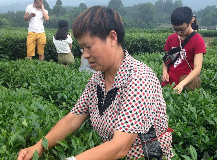 美狮贵宾会