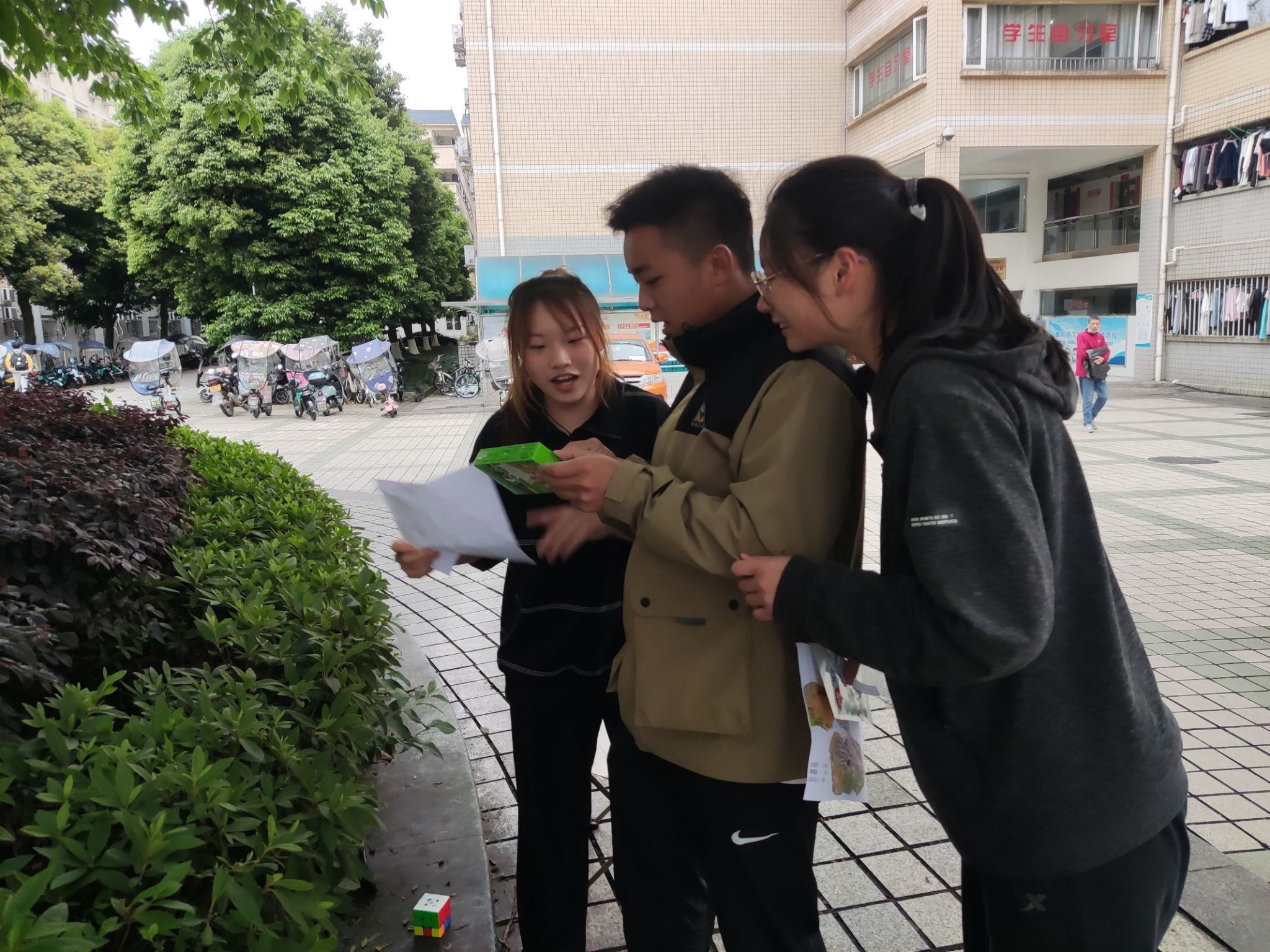 美狮贵宾会