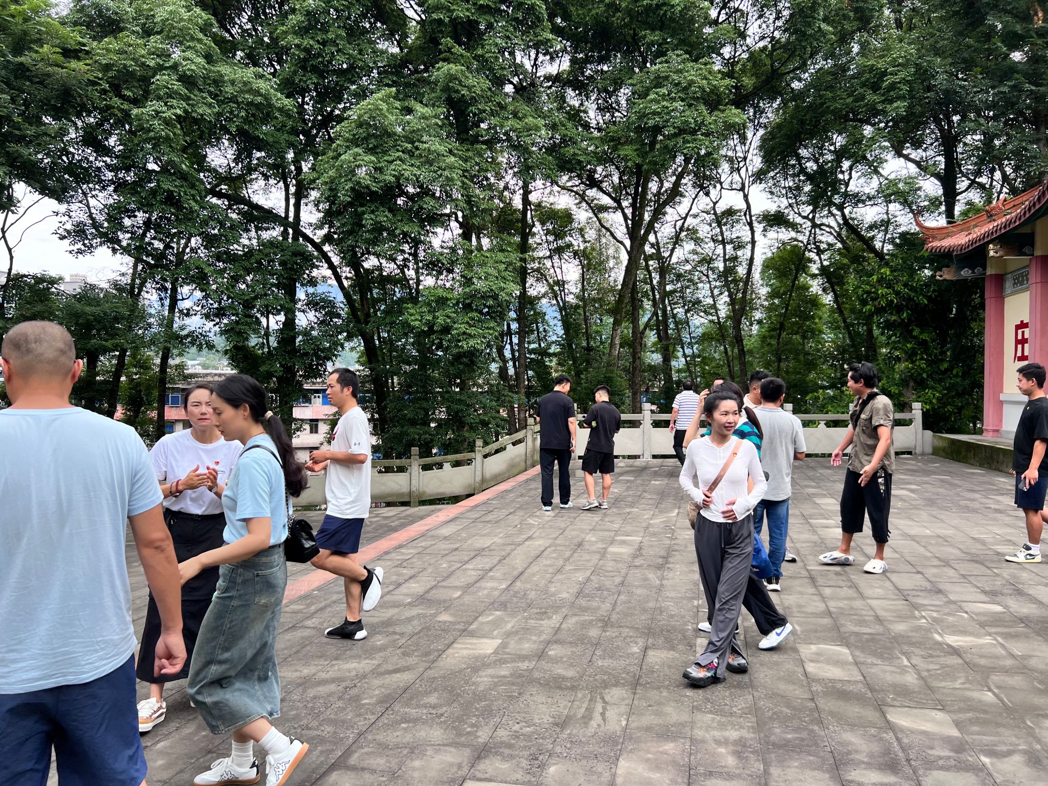 美狮贵宾会