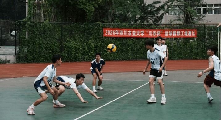 美狮贵宾会