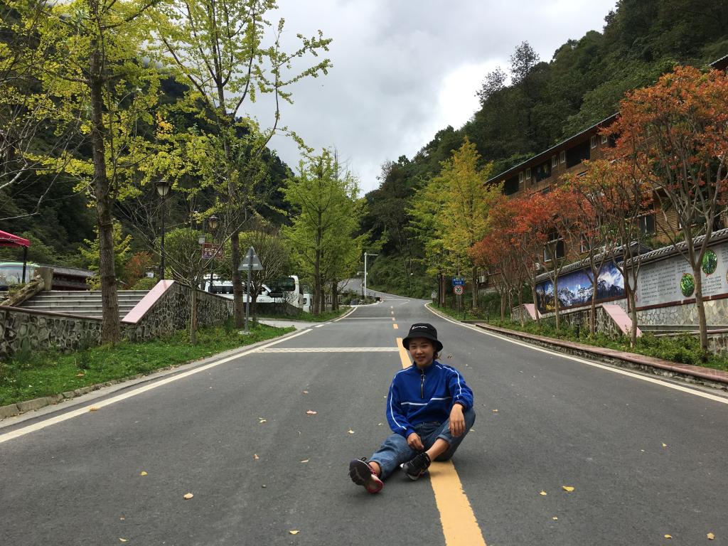美狮贵宾会
