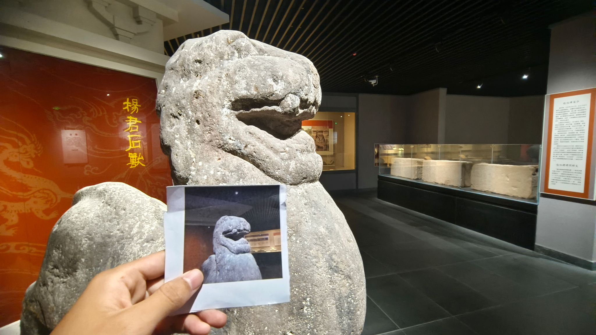 美狮贵宾会
