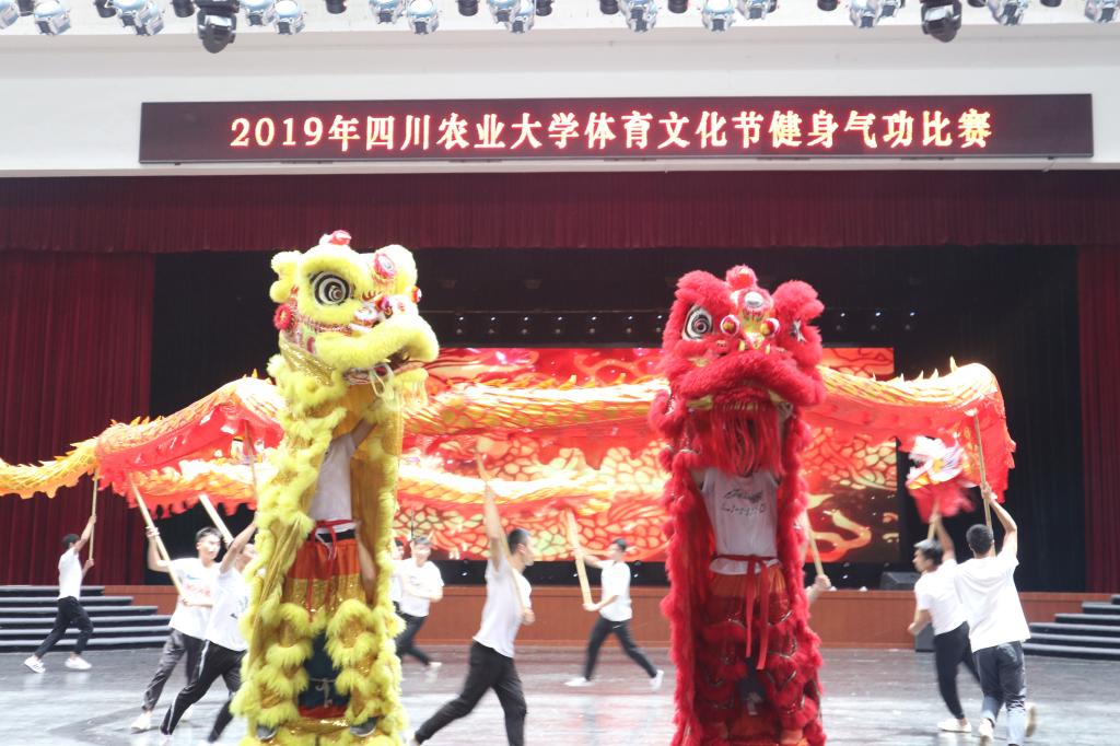 美狮贵宾会