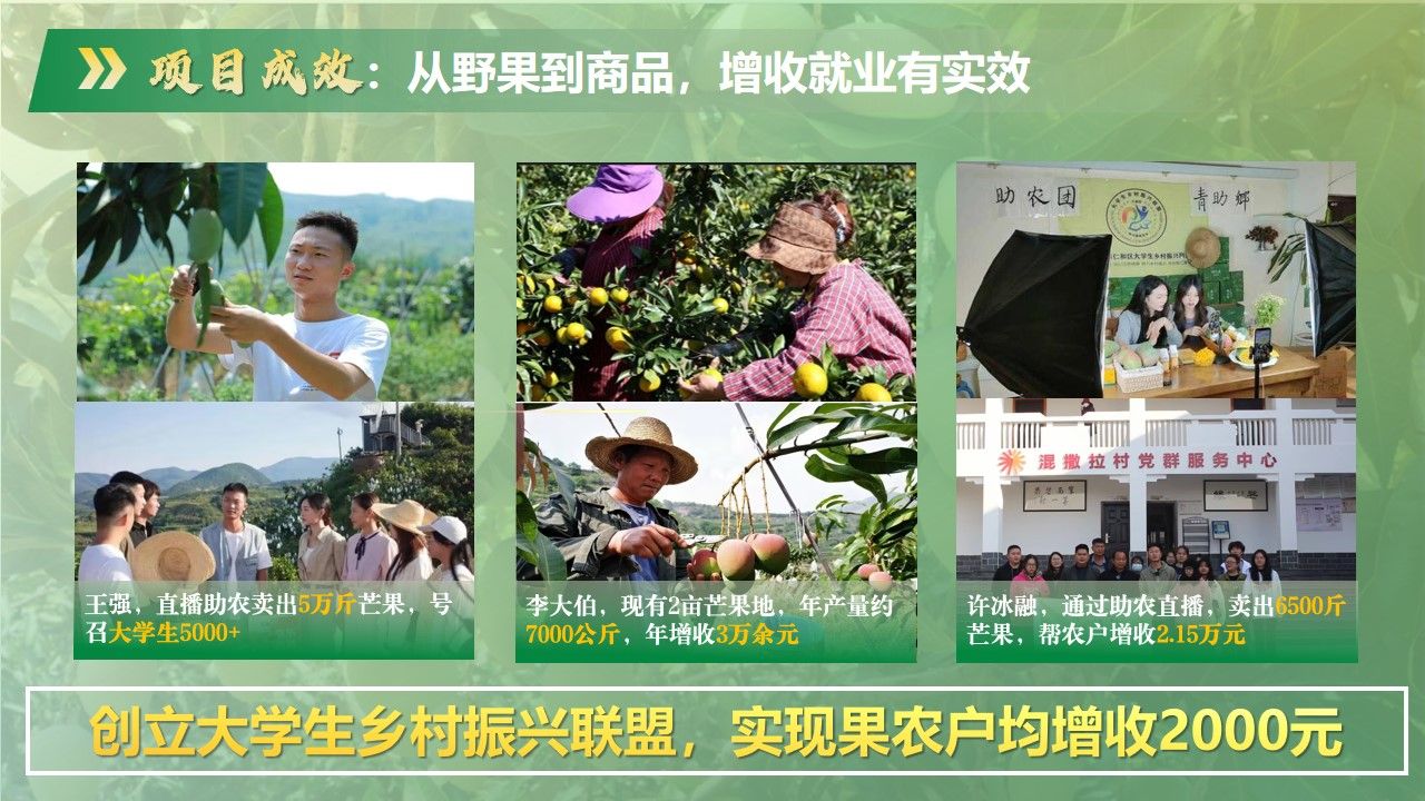 美狮贵宾会