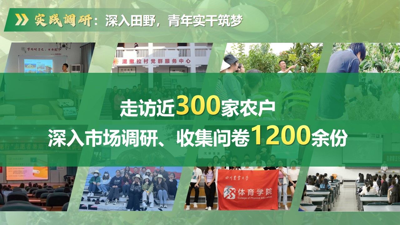 美狮贵宾会
