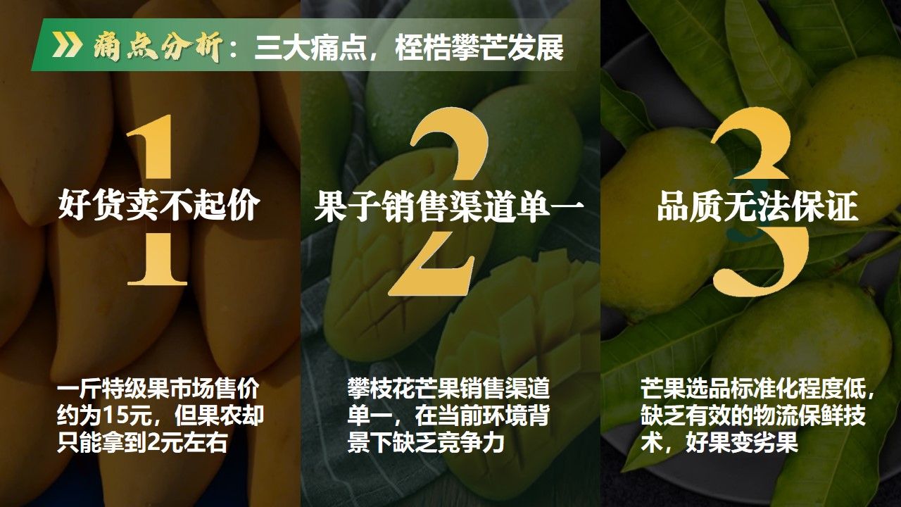 美狮贵宾会