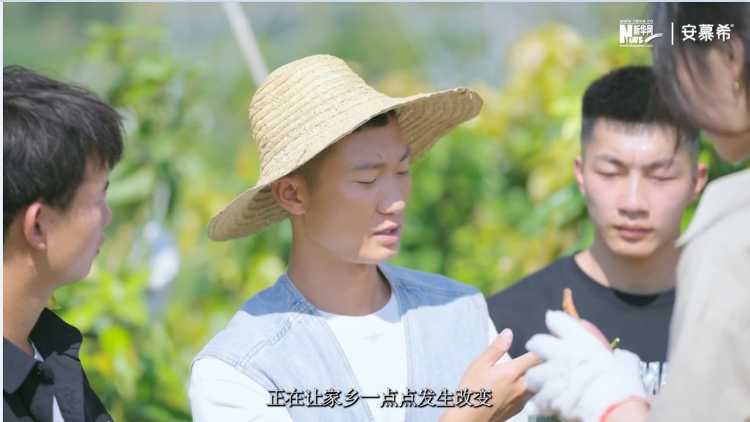 美狮贵宾会