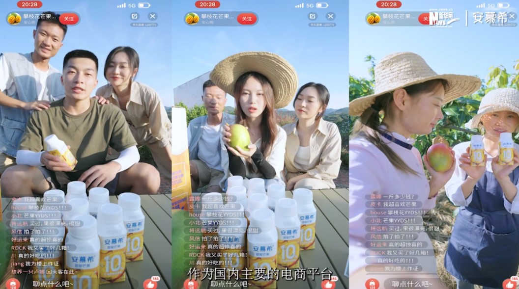 美狮贵宾会