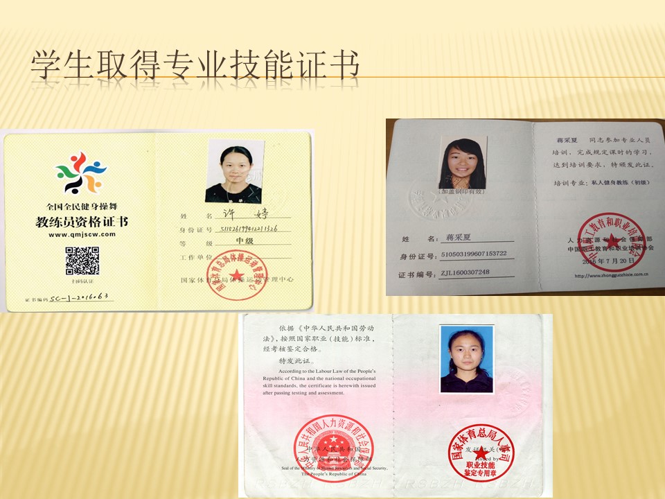 美狮贵宾会
