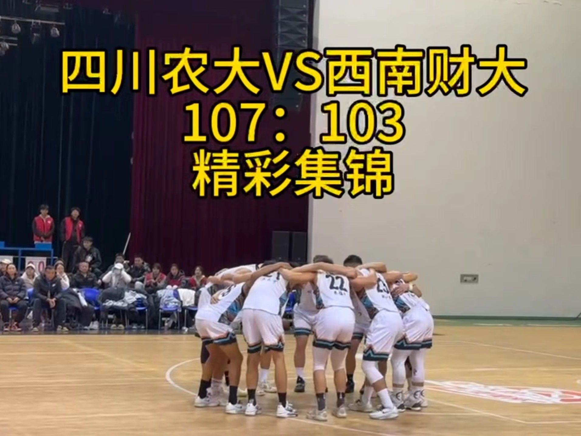 美狮贵宾会