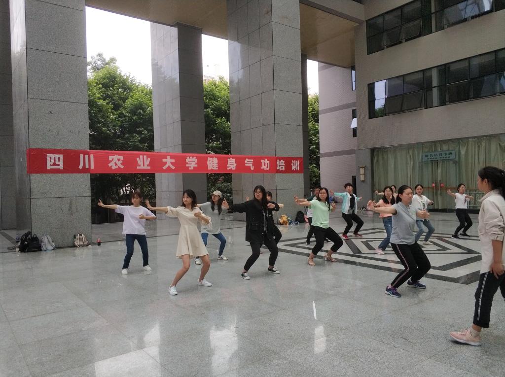 美狮贵宾会