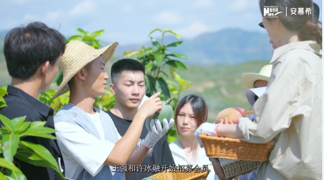 美狮贵宾会