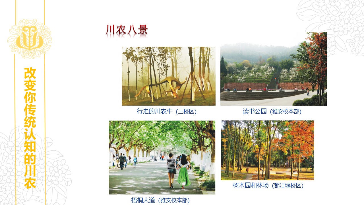 美狮贵宾会