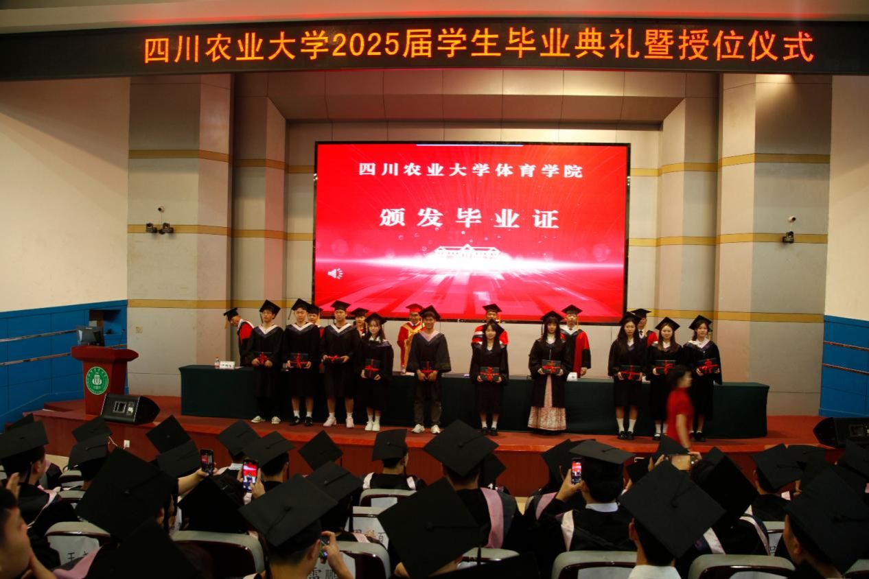 美狮贵宾会