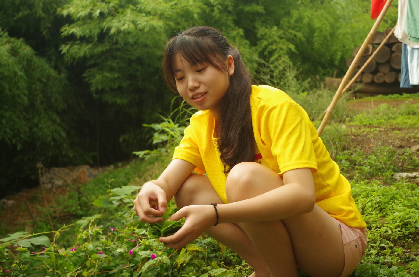美狮贵宾会