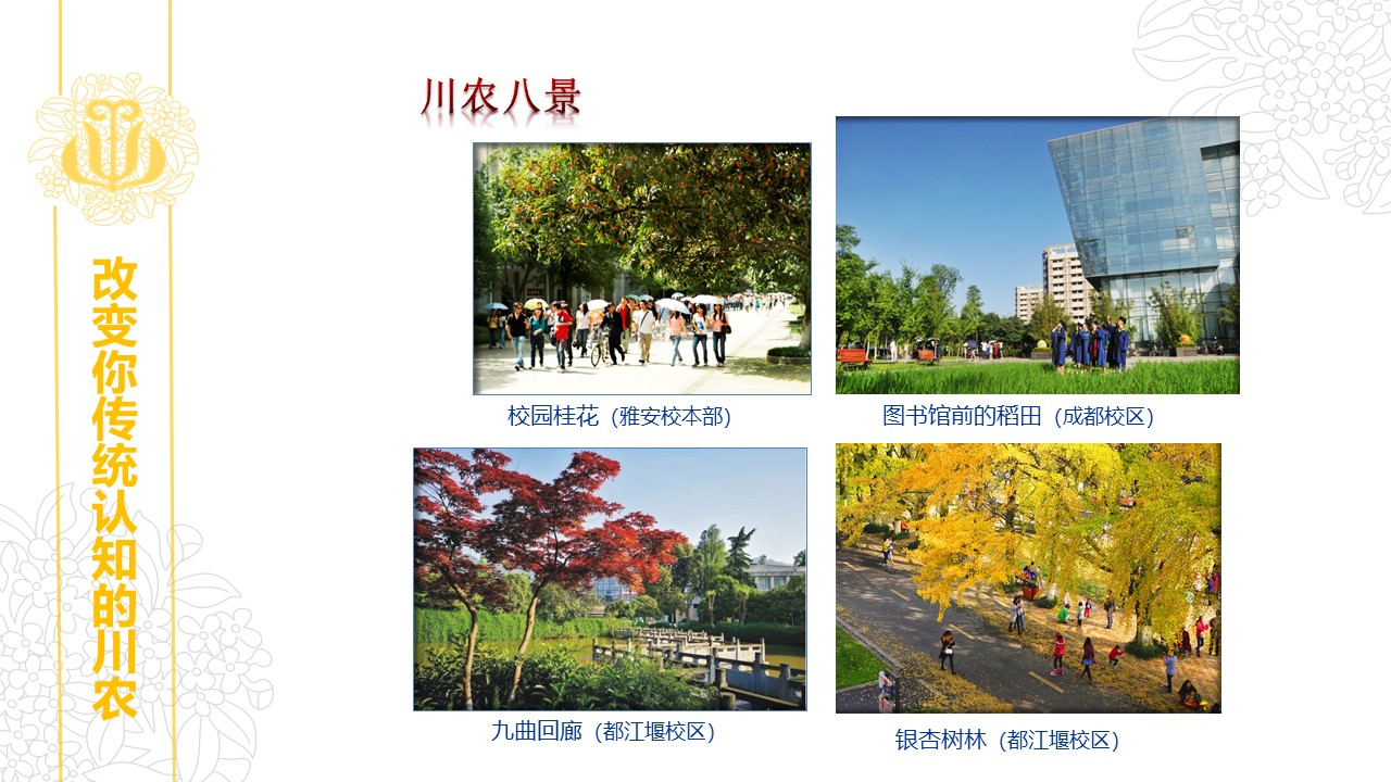 美狮贵宾会