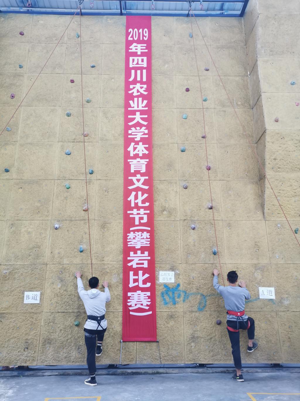 美狮贵宾会