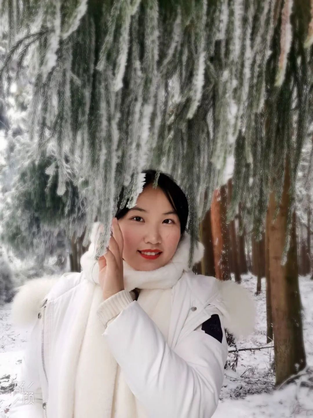 美狮贵宾会