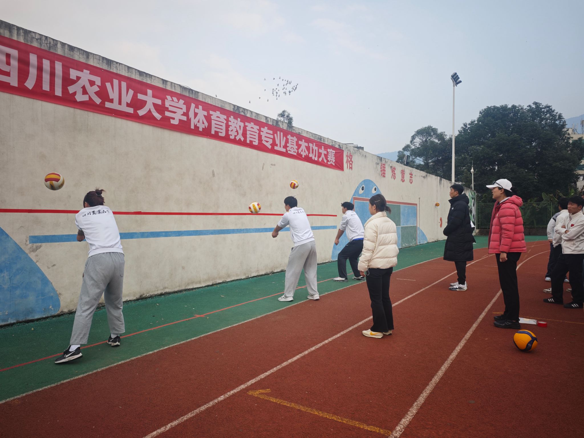 美狮贵宾会