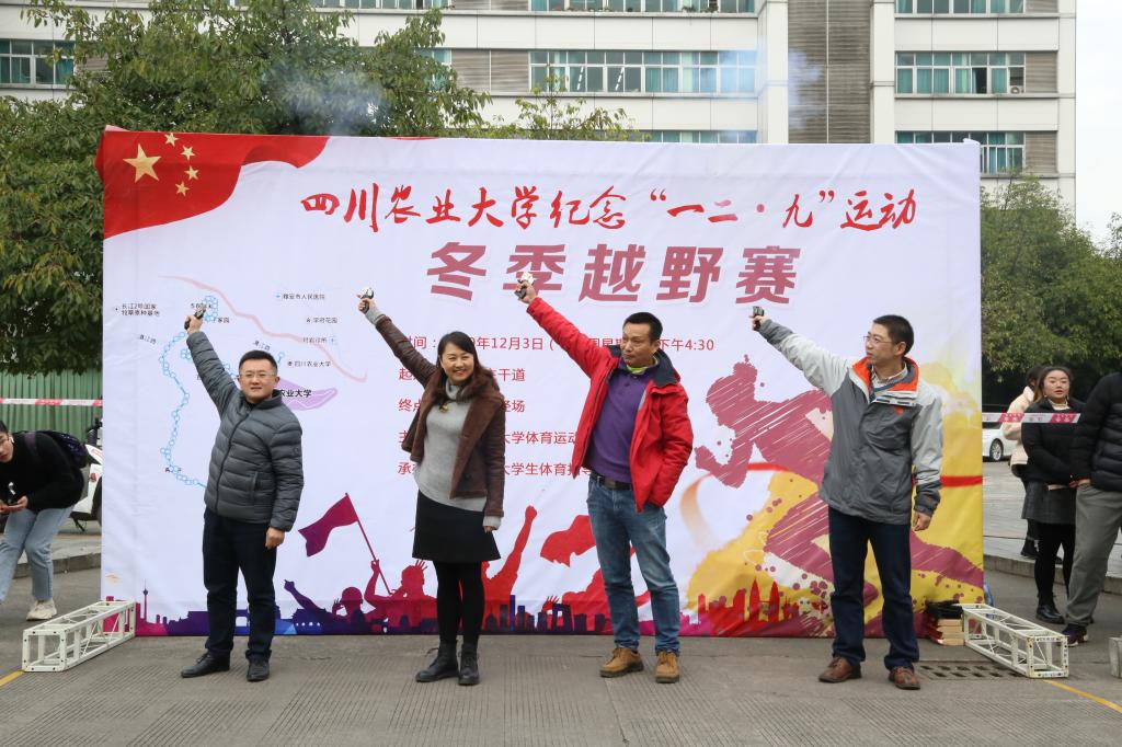 美狮贵宾会