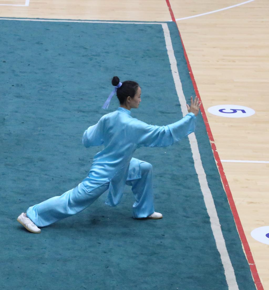 美狮贵宾会