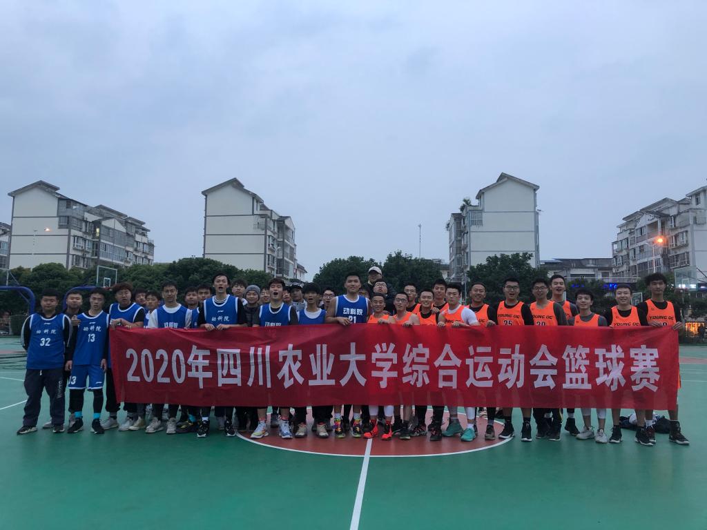 美狮贵宾会