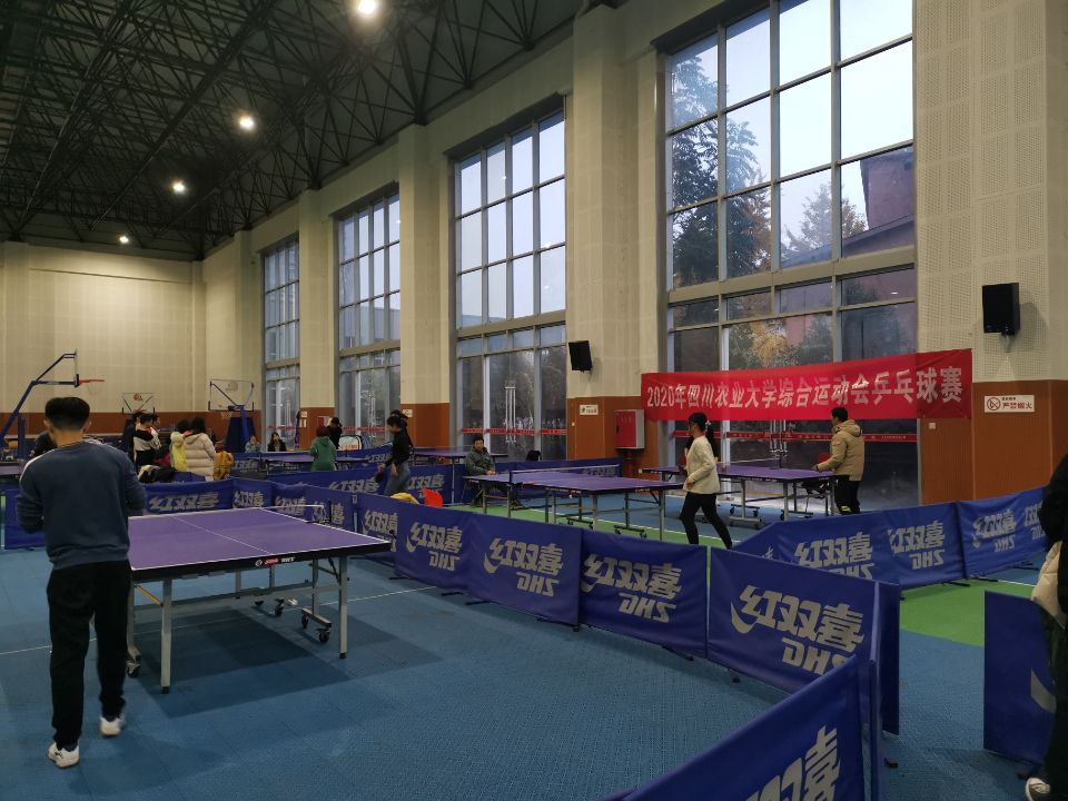 美狮贵宾会