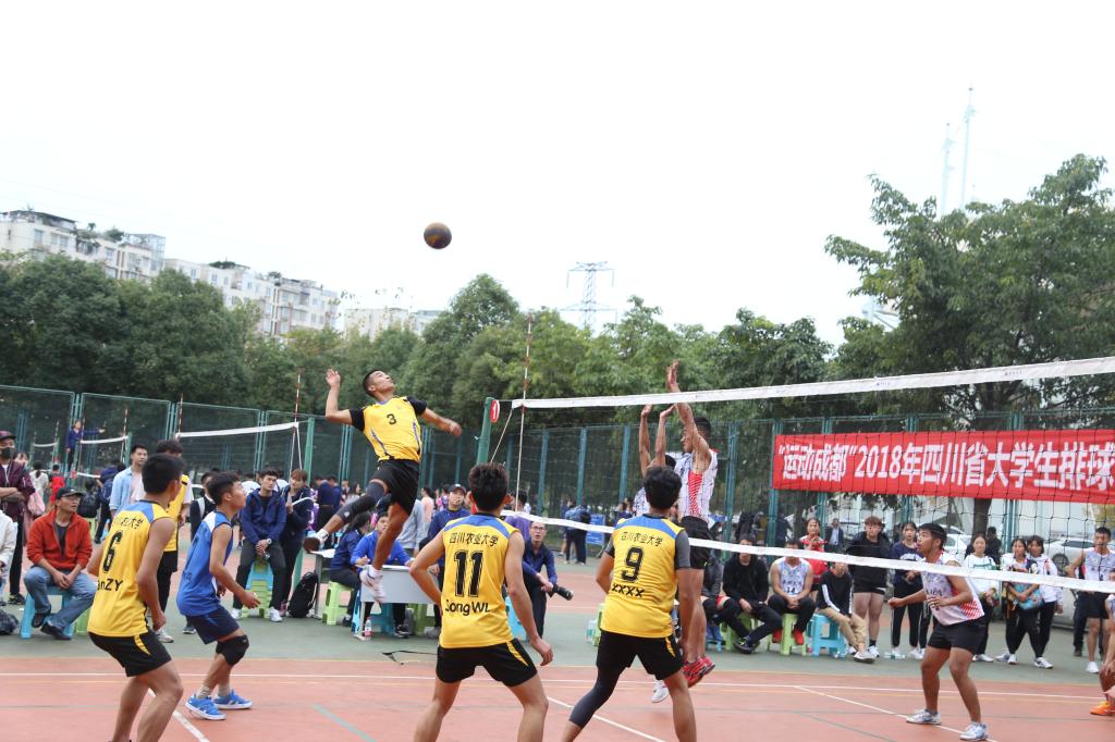 美狮贵宾会