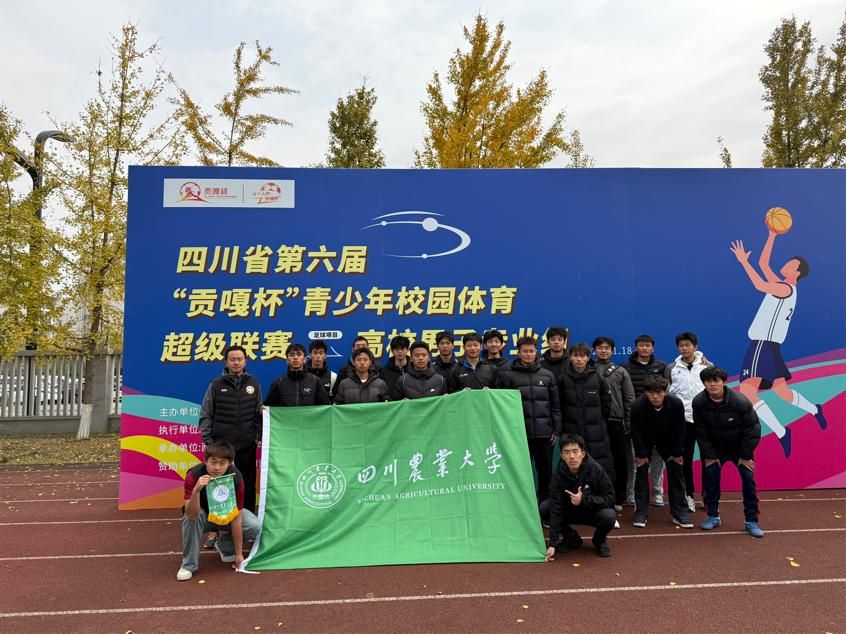 美狮贵宾会