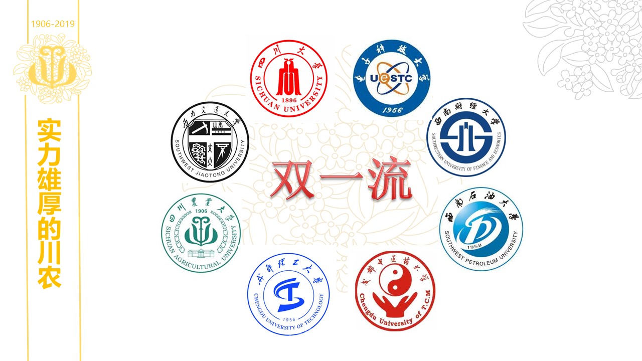 美狮贵宾会