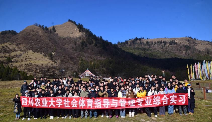 美狮贵宾会